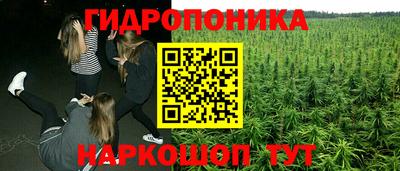 гашик Краснознаменск
