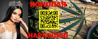 гашик Краснознаменск