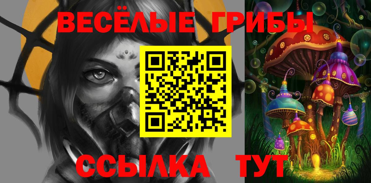 Псилоцибиновые грибы Psilocybine cubensis  Вход с VPN  Чусовой 